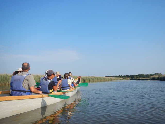 Visite guidée de la réserve ornithologique à pied et de son delta en canoë collectif