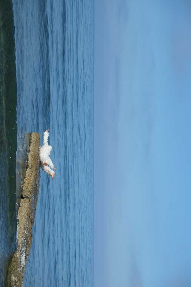 Tentative de vol - Performance de Kristina Depaulis