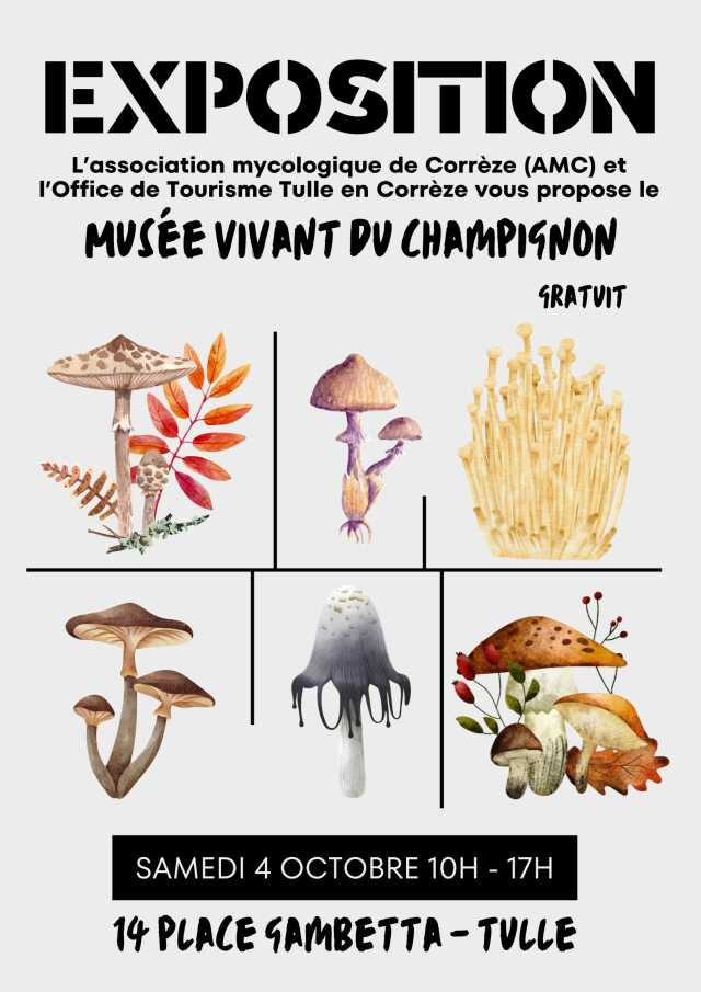 Musée vivant du champignon