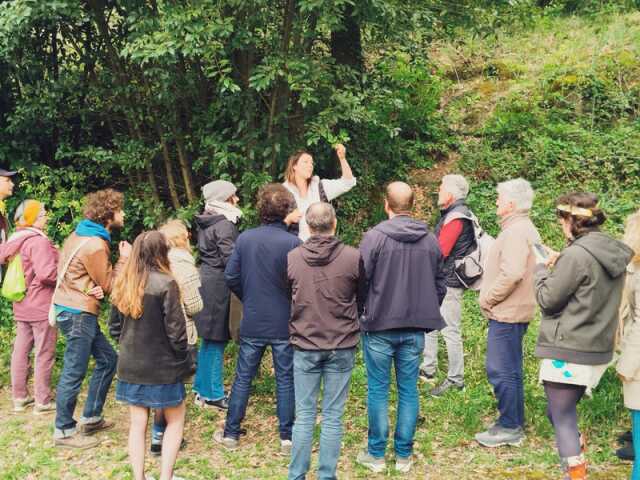 Les sorties du samedi - Plantes sauvages comestibles