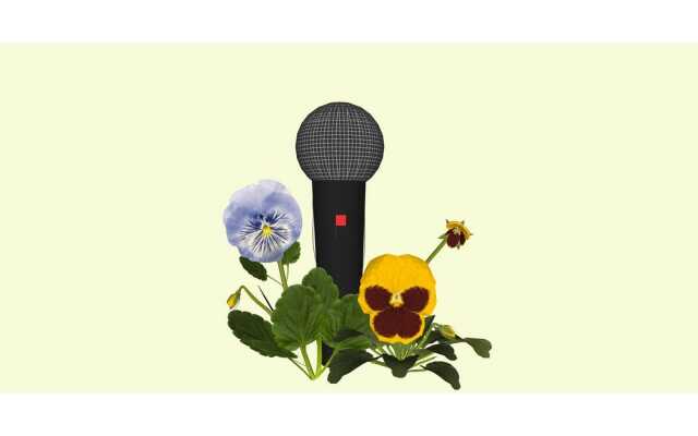 Exposition au Bel Ordinaire: La Barrière de la langue