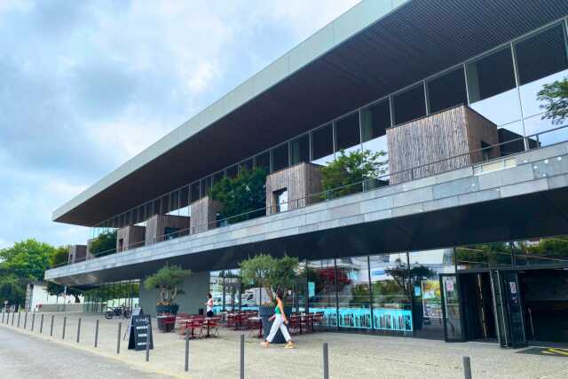 Exposition : Handisport