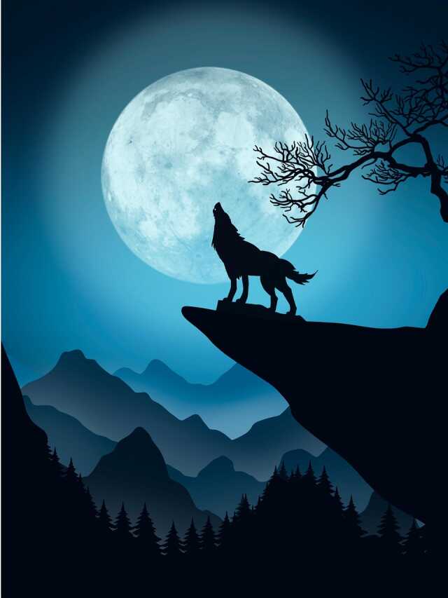 Café de l'espace : Soirée jeux spéciale LOUP GAROU