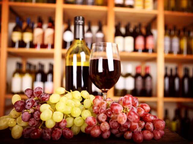 Vignoble VIN NU : visite guidée & dégustations