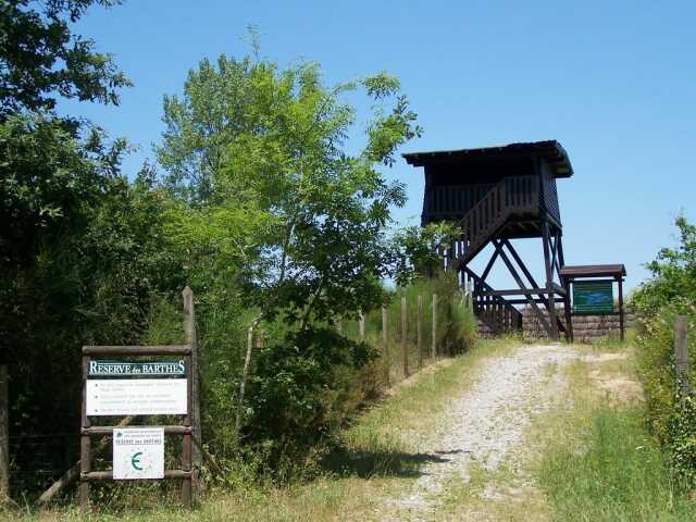 Découverte de la Réserve de Lesgau