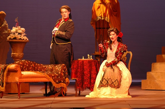 Retransmission depuis l'Opéra de Paris : La Traviata - Musée numérique de la Micro-Folie du Pays Foyen