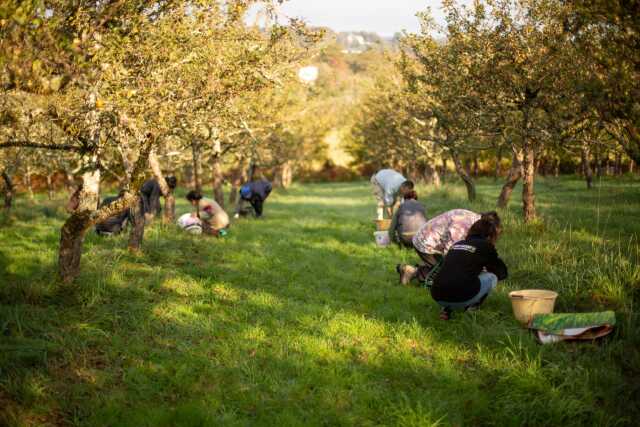 Ici, nos savoir-faire - Visite au Domaine de la Haute Futaie
