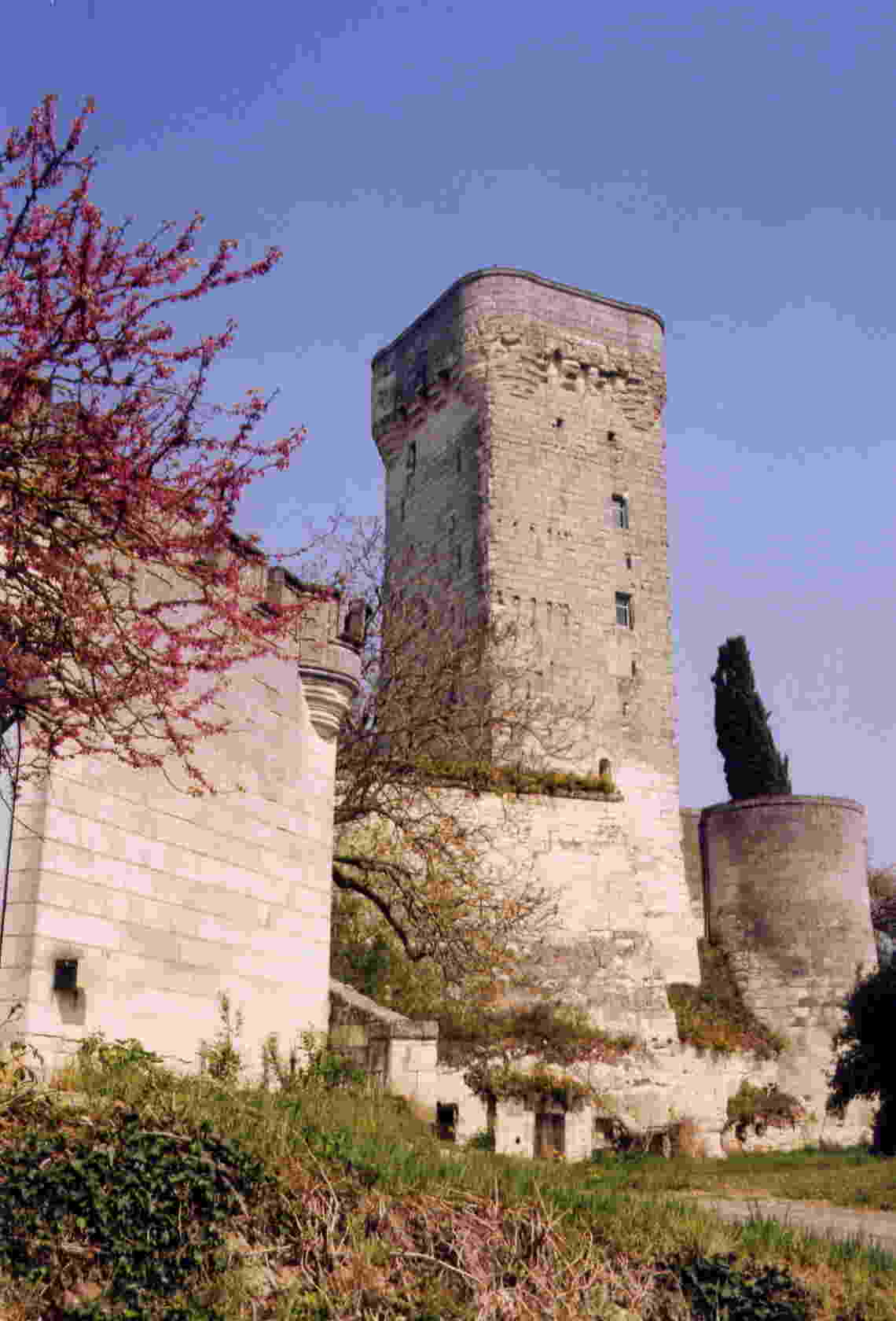 Secrets de Pays : Curçay-sur-Dive, à la découverte d'un patrimoine exceptionnel