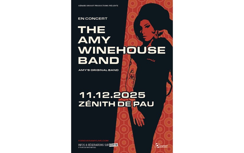 The Amy Winehouse Band