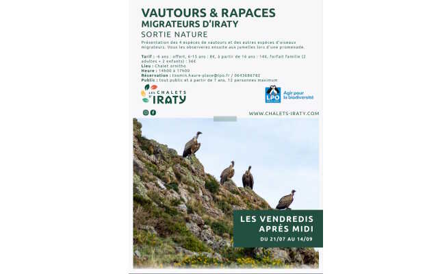 Sortie vautours et rapaces migrateurs