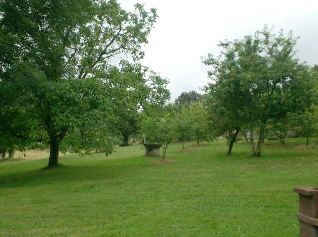 Une journée au verger