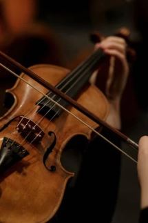 1 heure, 1 instrument : le violon