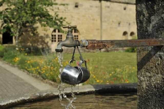 Journées Européennes du Patrimoine : visites guidées thématiques de l'abbaye