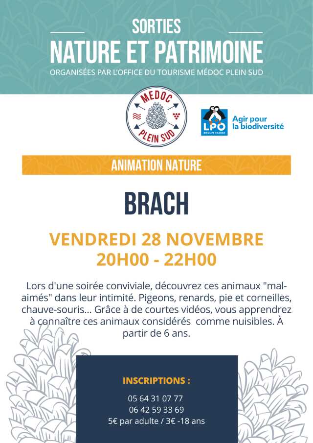 Sortie nature. LPO, Ciné- débat film - Les espèces mal-aimées (pigeons pies chauves-souris)