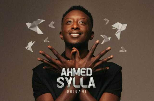 Ahmed Sylla - Origami