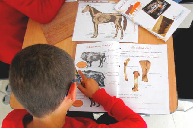 Atelier préhisto'jeune 