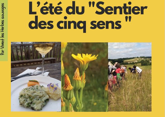 Le sentier des 5 sens au Domaine Les Hauts de Riquets