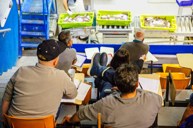 Ici, nos savoir-faire - Visite de la criée d'Arcachon
