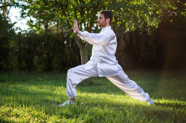 Stage d'été de QI GONG
