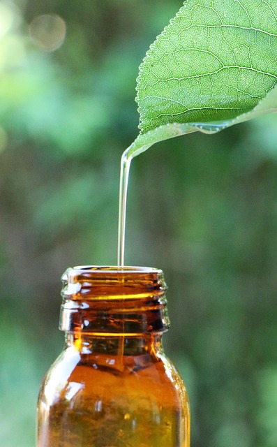Atelier découverte - Vitalité de rentrée