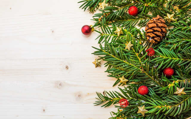 C'est Noël à Ciboure: Atelier de création d’étoiles végétales.