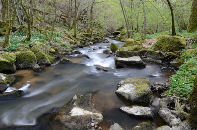 Expo documentaire : L’eau dans le bassin de la Vienne