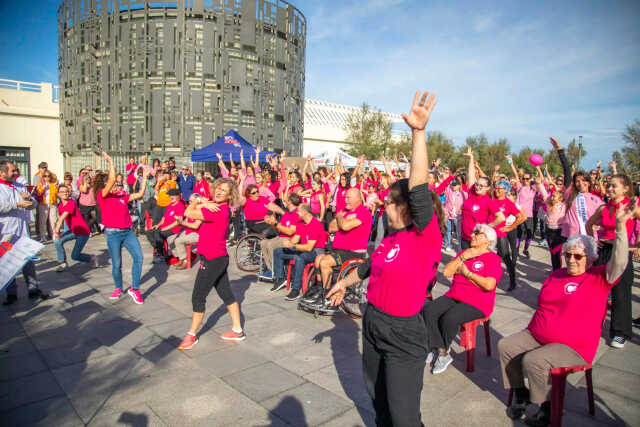 Flashmob Rose inclusive