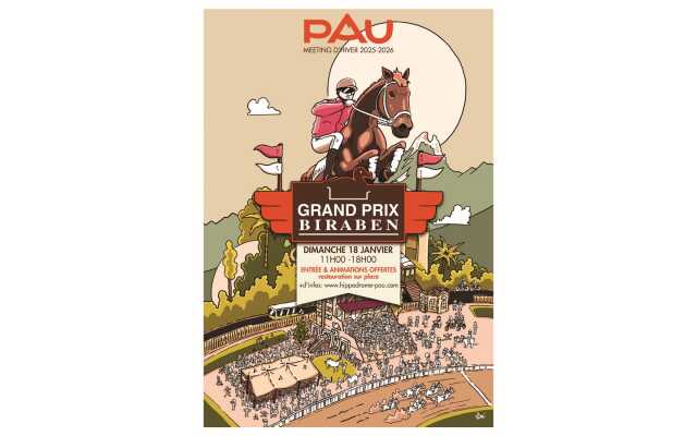 Courses Hippodrome de Pau - Grand Prix Biraben