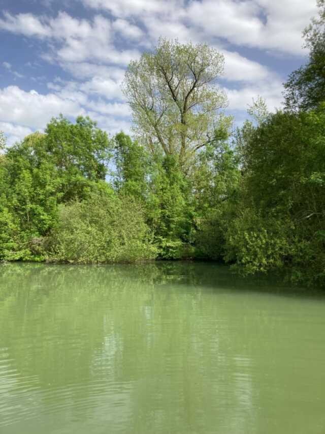 Atelier écriture & nature
