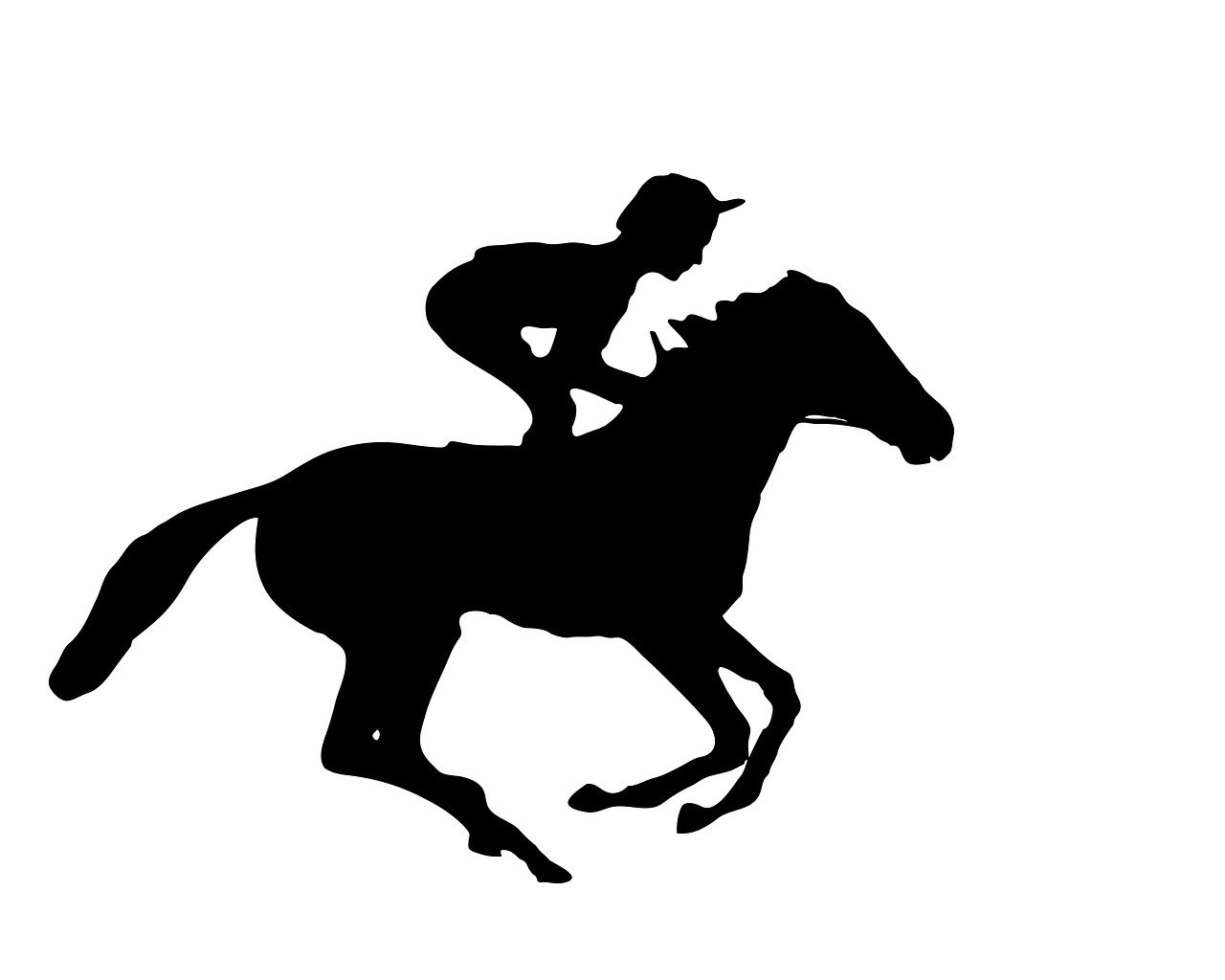 Equifun