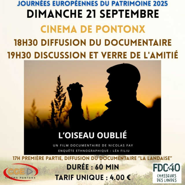 L'oiseau oublié