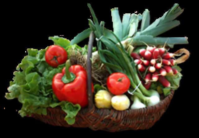 Petit marché traditionnel de Nérac