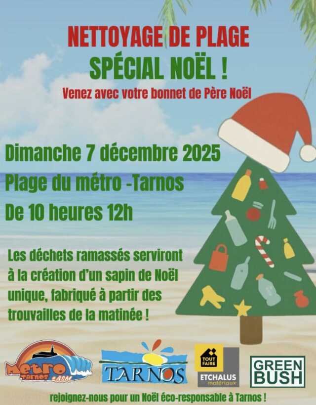 Nettoyage de plage de Noël