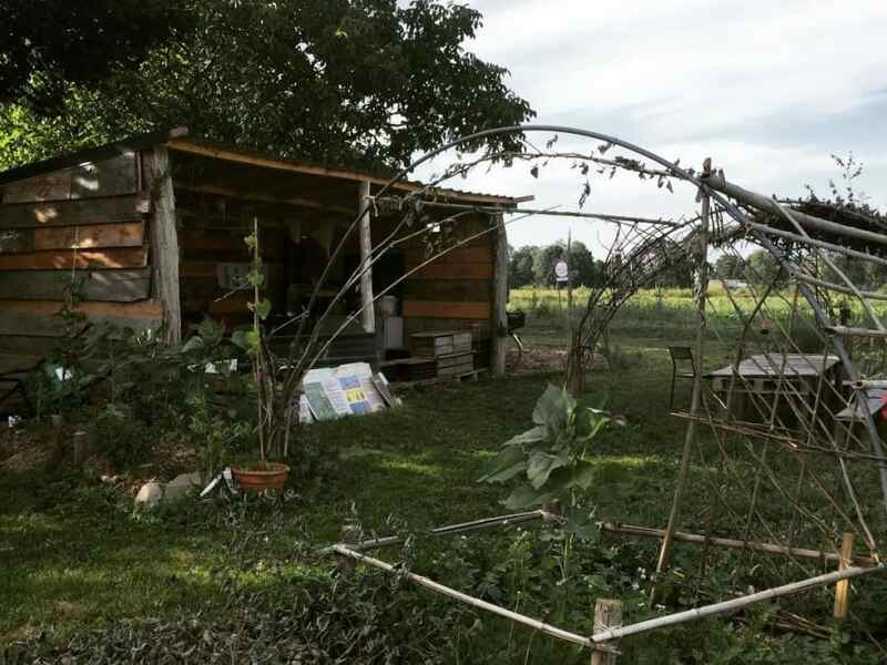 Captures et mangeoires à papillons, à la Cueillette de l'Aragnon