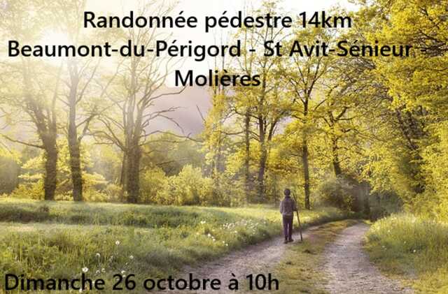 Bastides en fête I Randonnée pédestre entre les bastides de Beaumont-du Périgord et de Molières