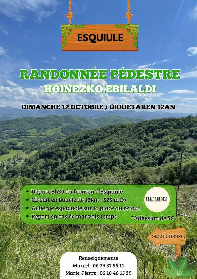 Randonnée pédestre