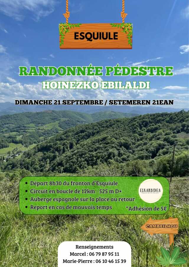Randonnée pédestre
