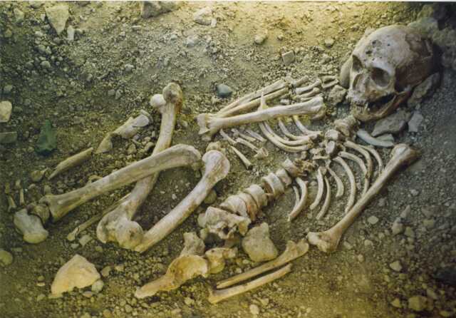 Journées Européennes du Patrimoine : visite de l'espace Neandertal, l'Homme de  la Chapelle-aux-Saints