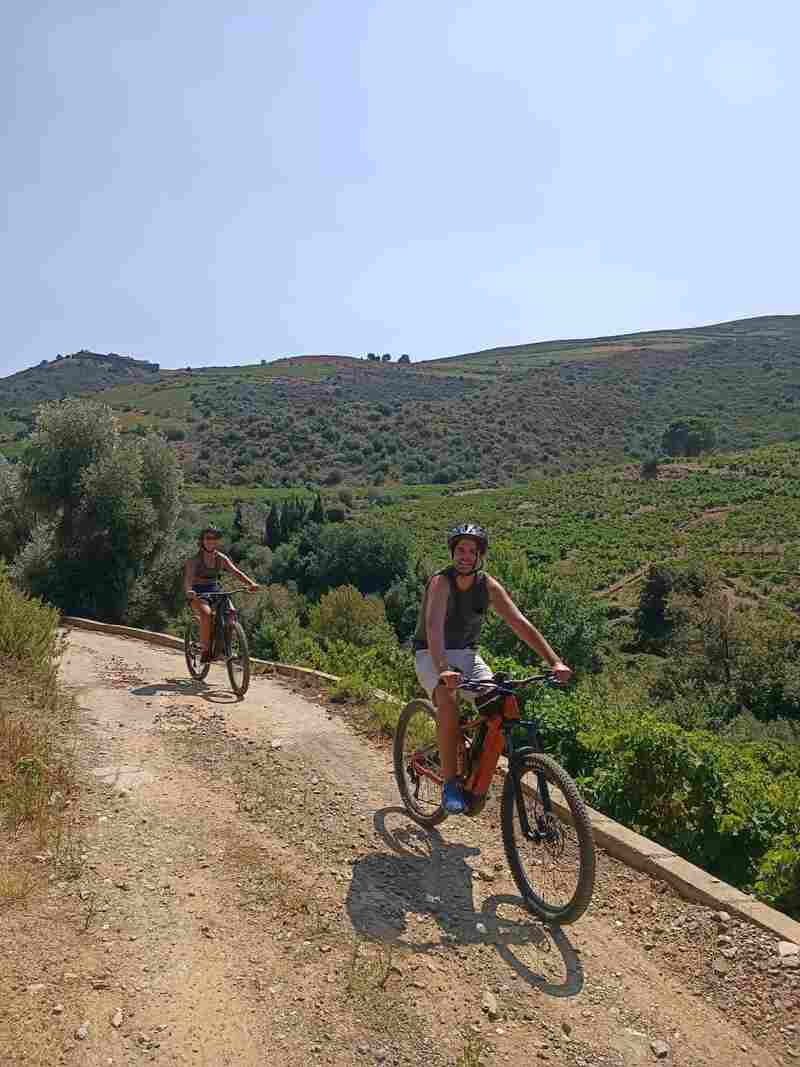 OENOTOURISME : BALADE EN VTT ÉLECTRIQUE DANS LES VIGNES DE COLLIOURE
