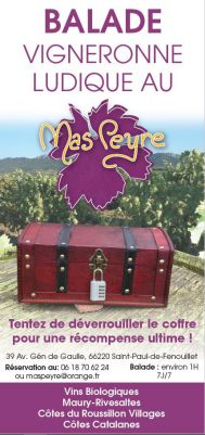 VIGNOBLES EN SCENE - BALADE VIGNERONNE CHEZ MAS PEYRE