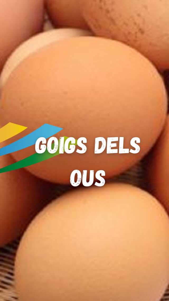 FÊTES DE PÂQUES - GOIGS DELS OUS DE XOCOLATA