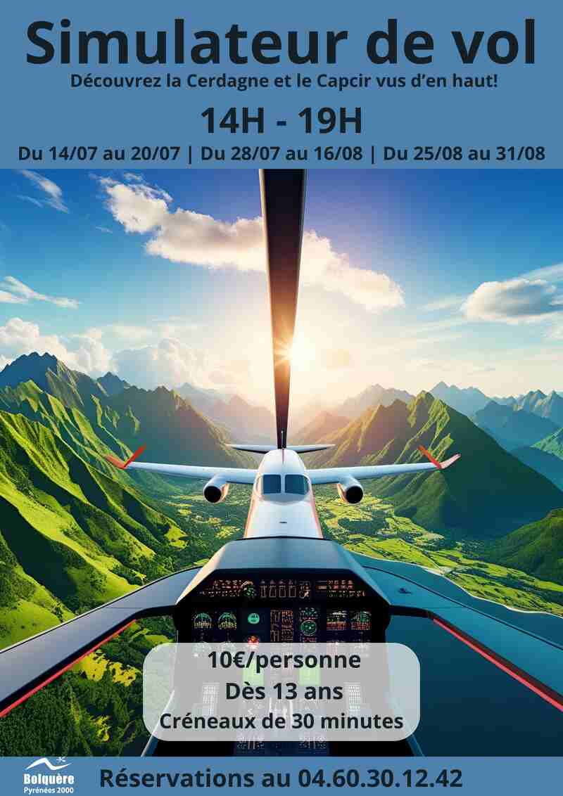 SIMULATEUR DE VOL