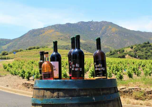 FASCINANT WEEK-END : JOURNÉE DÉCOUVERTE DU VIN NATUREL AU DOMAINE LA PEDRA PINTADA