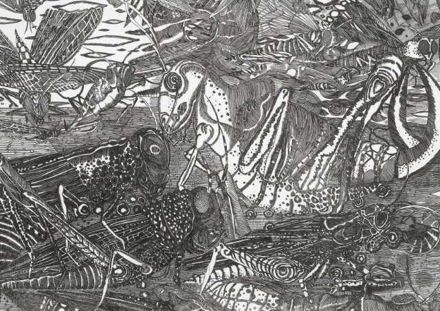 TRENTE ANS DE GRAVURES