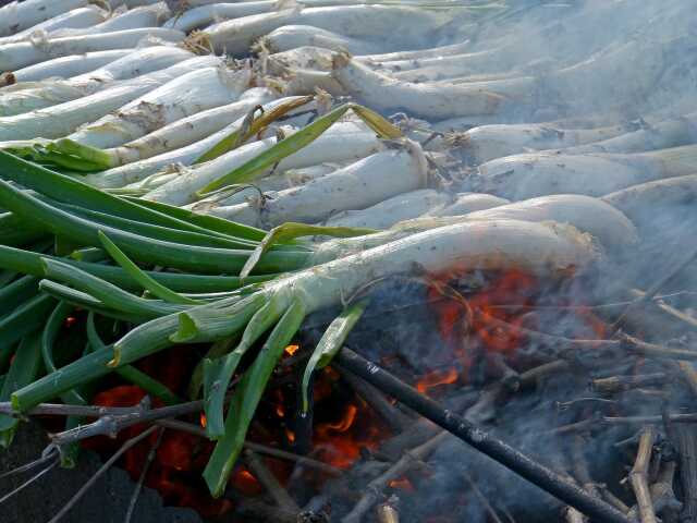 CALÇOTADA