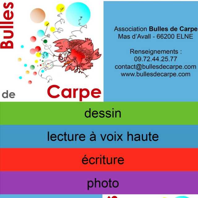 STAGE BULLES DE CARPE - LECTURE À HAUTE VOIX- LE LECTEUR AUX DEUX VISAGES