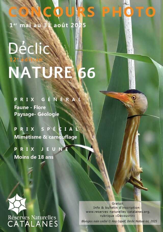 CONCOURS PHOTO DÉCLIC NATURE