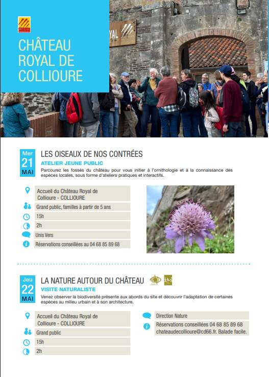 ATELIER LES OISEAUX DE NOS CONTRÉES AU CHÂTEAU