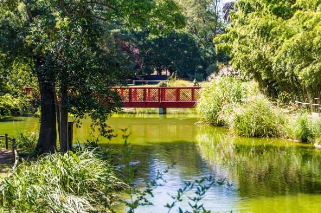 VISITE GUIDÉE DU JARDIN DES PLANTES > ANNULÉE