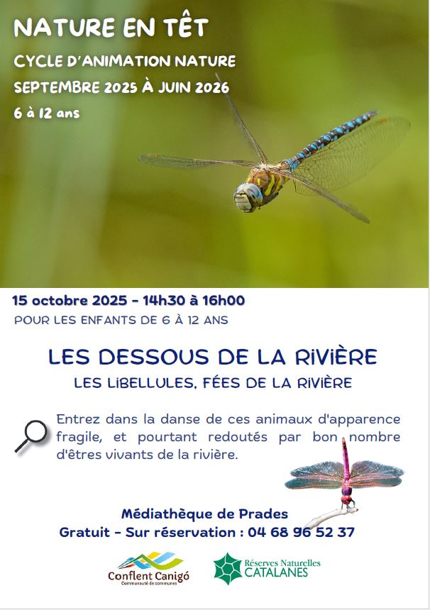 NATURE EN TÊT: LES DESSOUS DE LA RIVIÈRE